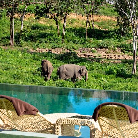 Wild Cottages Elephant Sanctuary Resort Amphoe Koksamui Luaran gambar