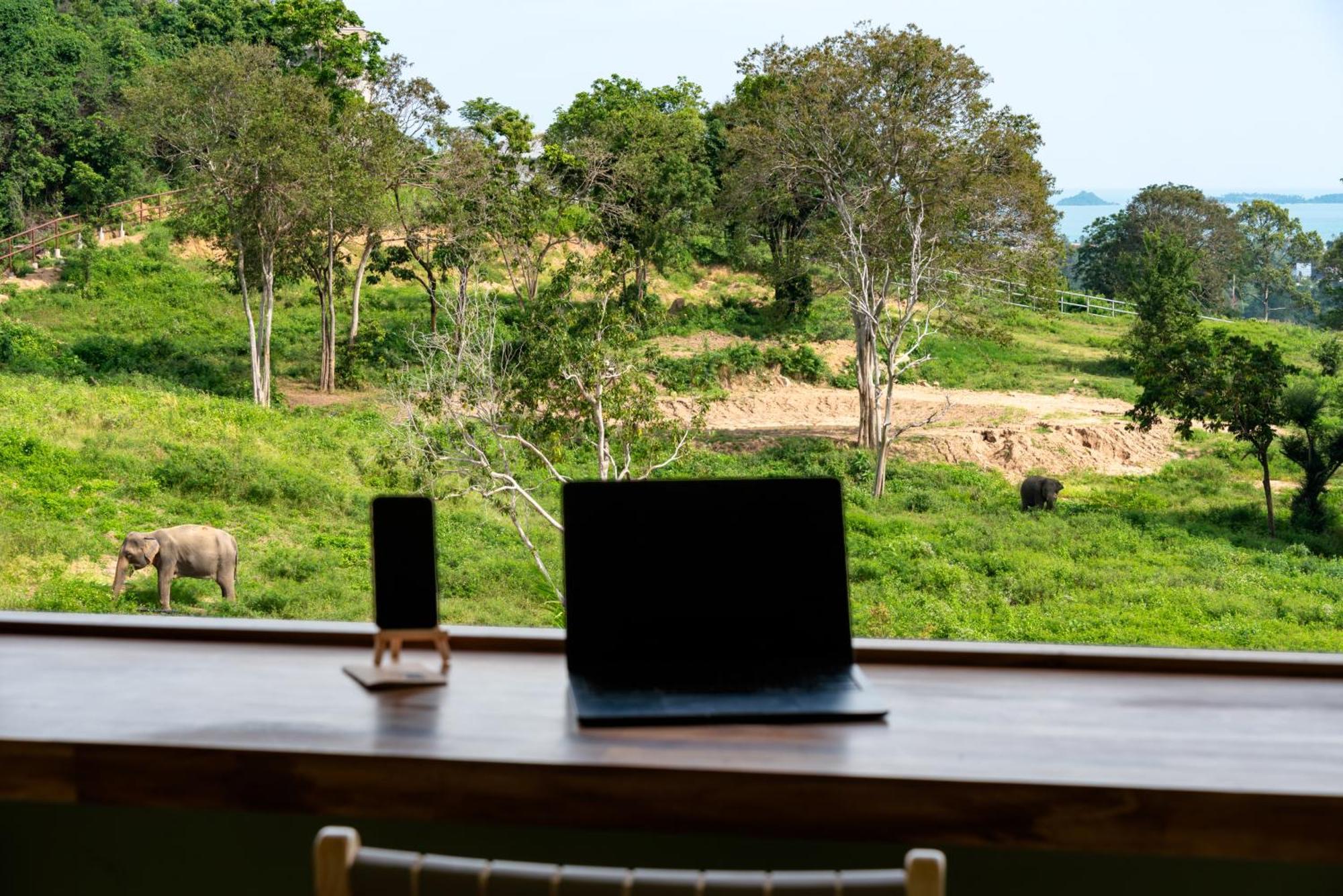 Wild Cottages Elephant Sanctuary Resort Amphoe Koksamui Luaran gambar