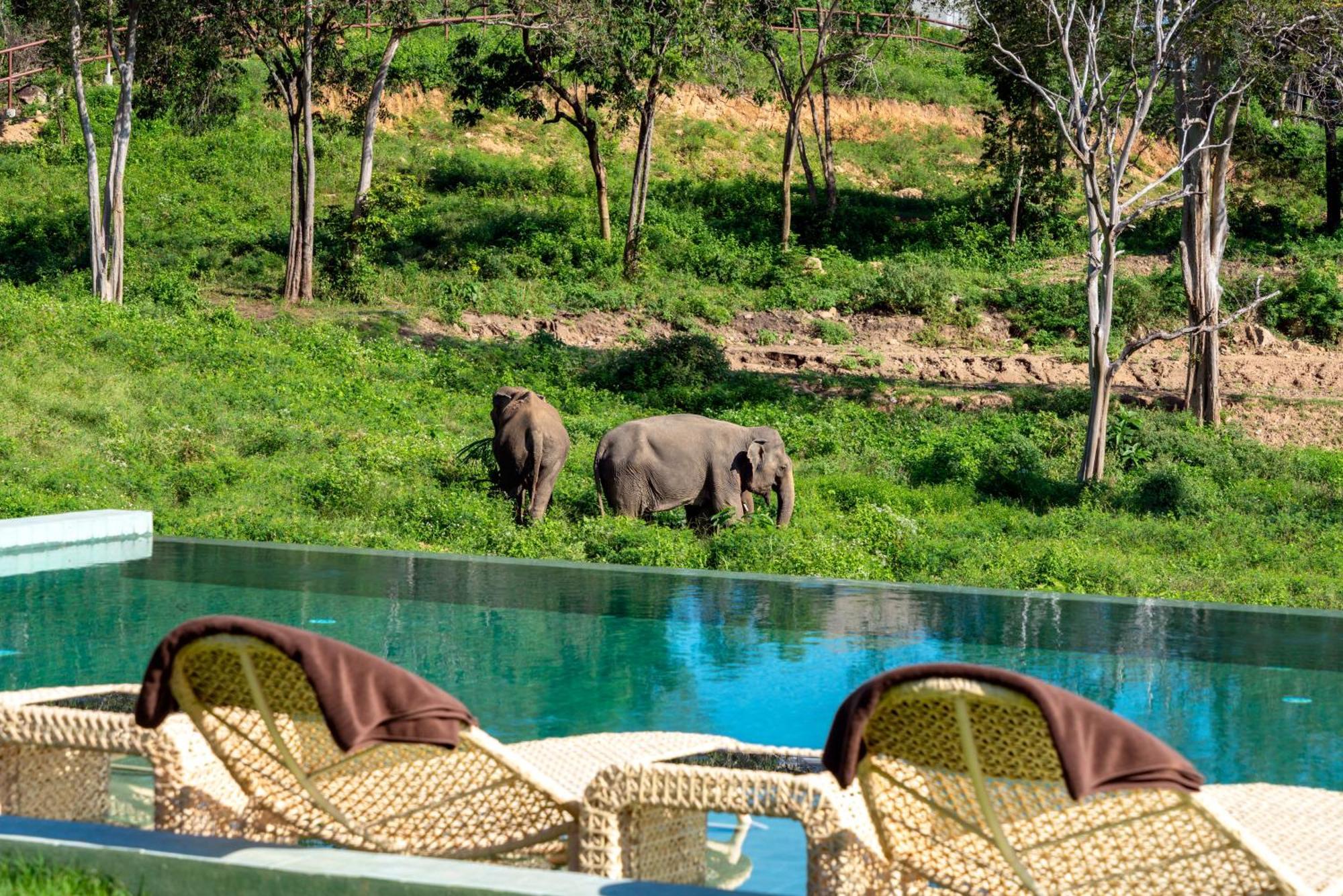 Wild Cottages Elephant Sanctuary Resort Amphoe Koksamui Luaran gambar