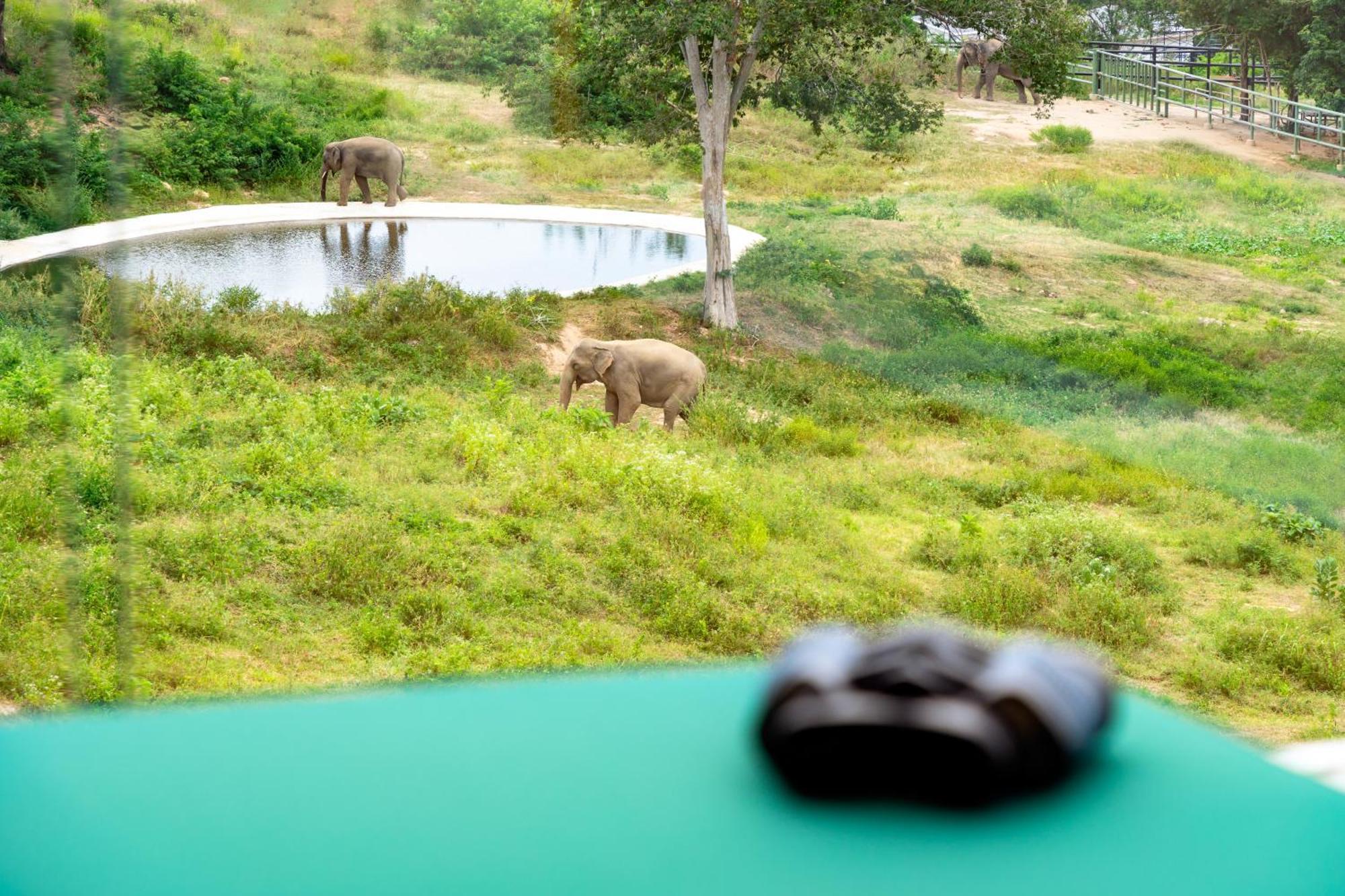 Wild Cottages Elephant Sanctuary Resort Amphoe Koksamui Luaran gambar