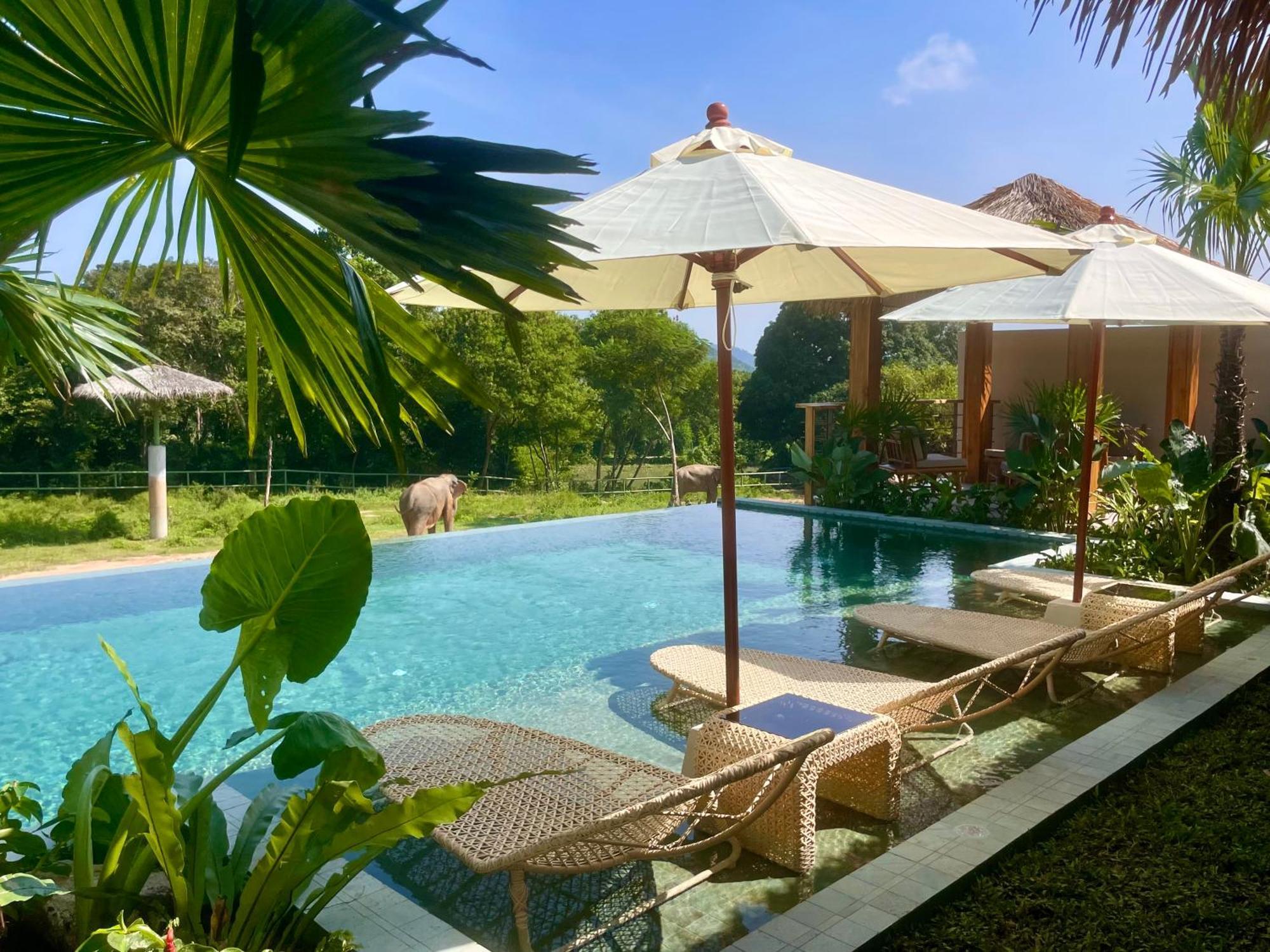 Wild Cottages Elephant Sanctuary Resort Amphoe Koksamui Luaran gambar