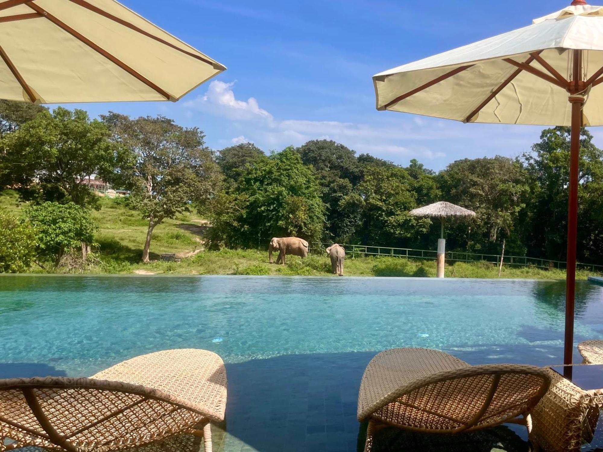 Wild Cottages Elephant Sanctuary Resort Amphoe Koksamui Luaran gambar