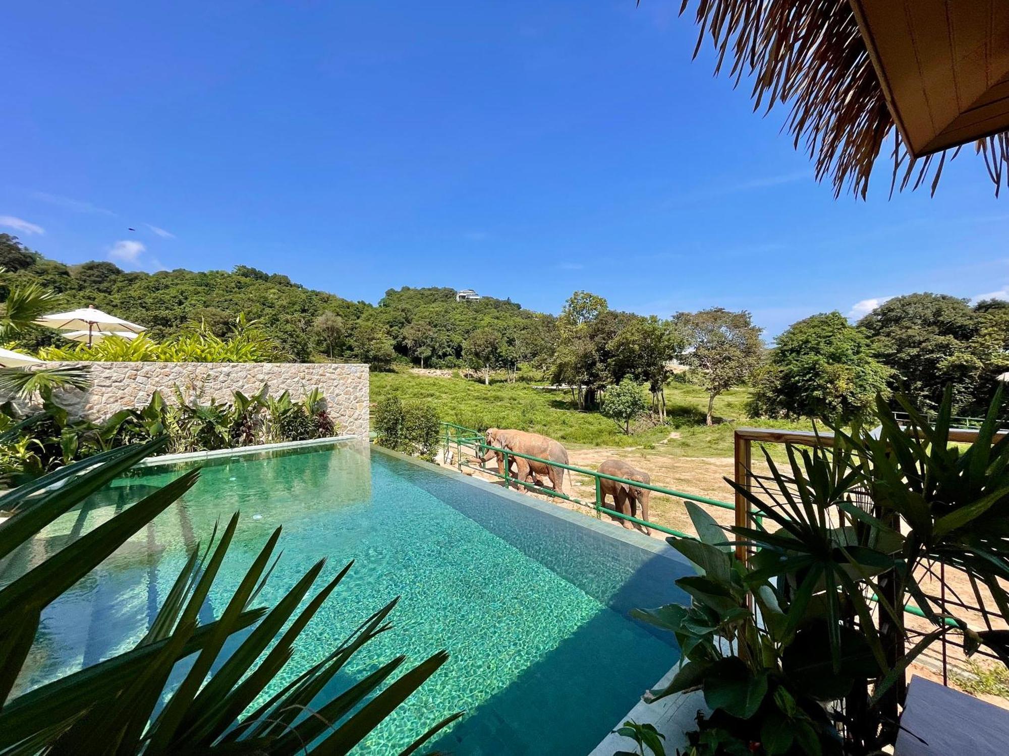 Wild Cottages Elephant Sanctuary Resort Amphoe Koksamui Luaran gambar