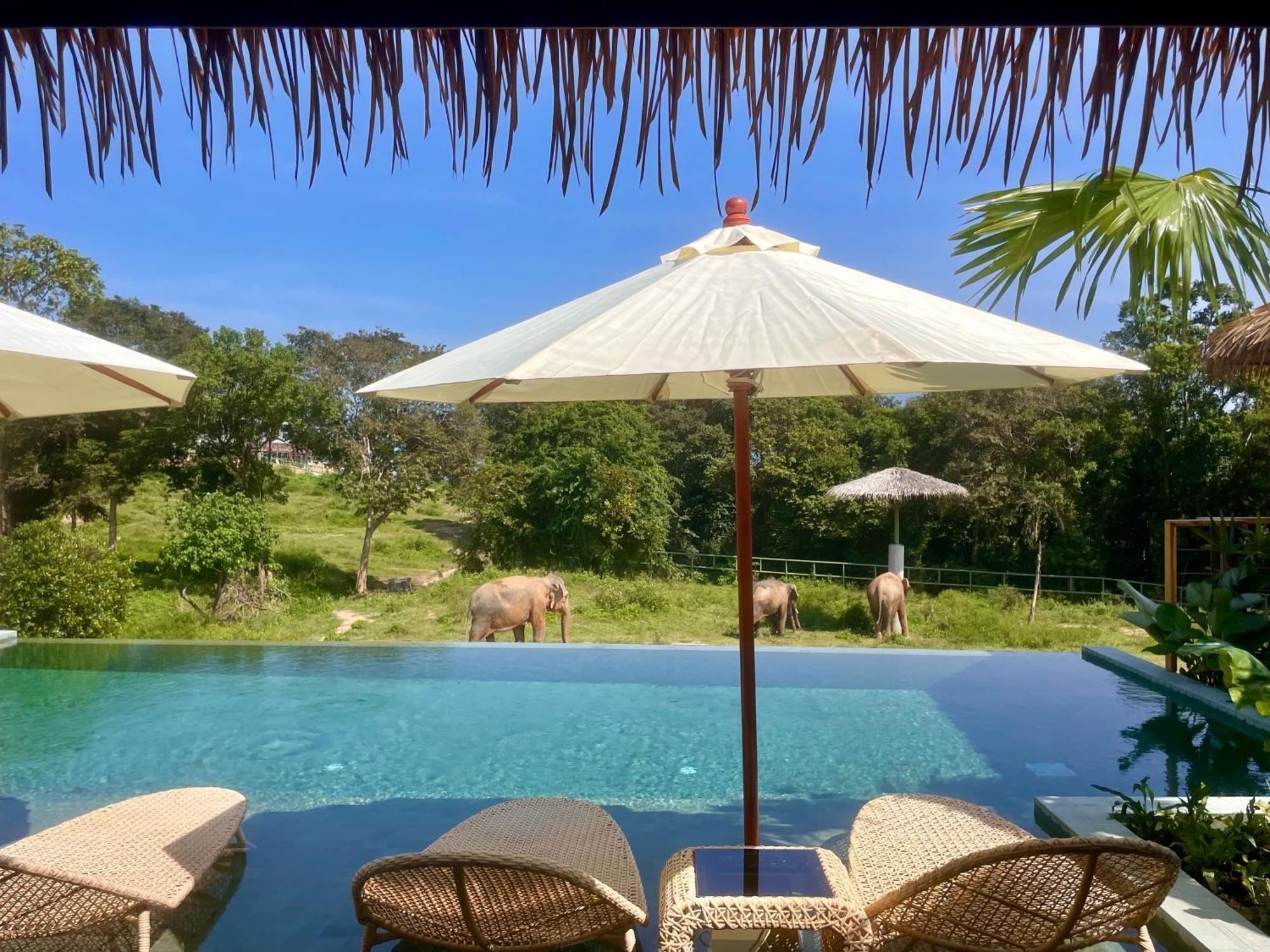 Wild Cottages Elephant Sanctuary Resort Amphoe Koksamui Luaran gambar