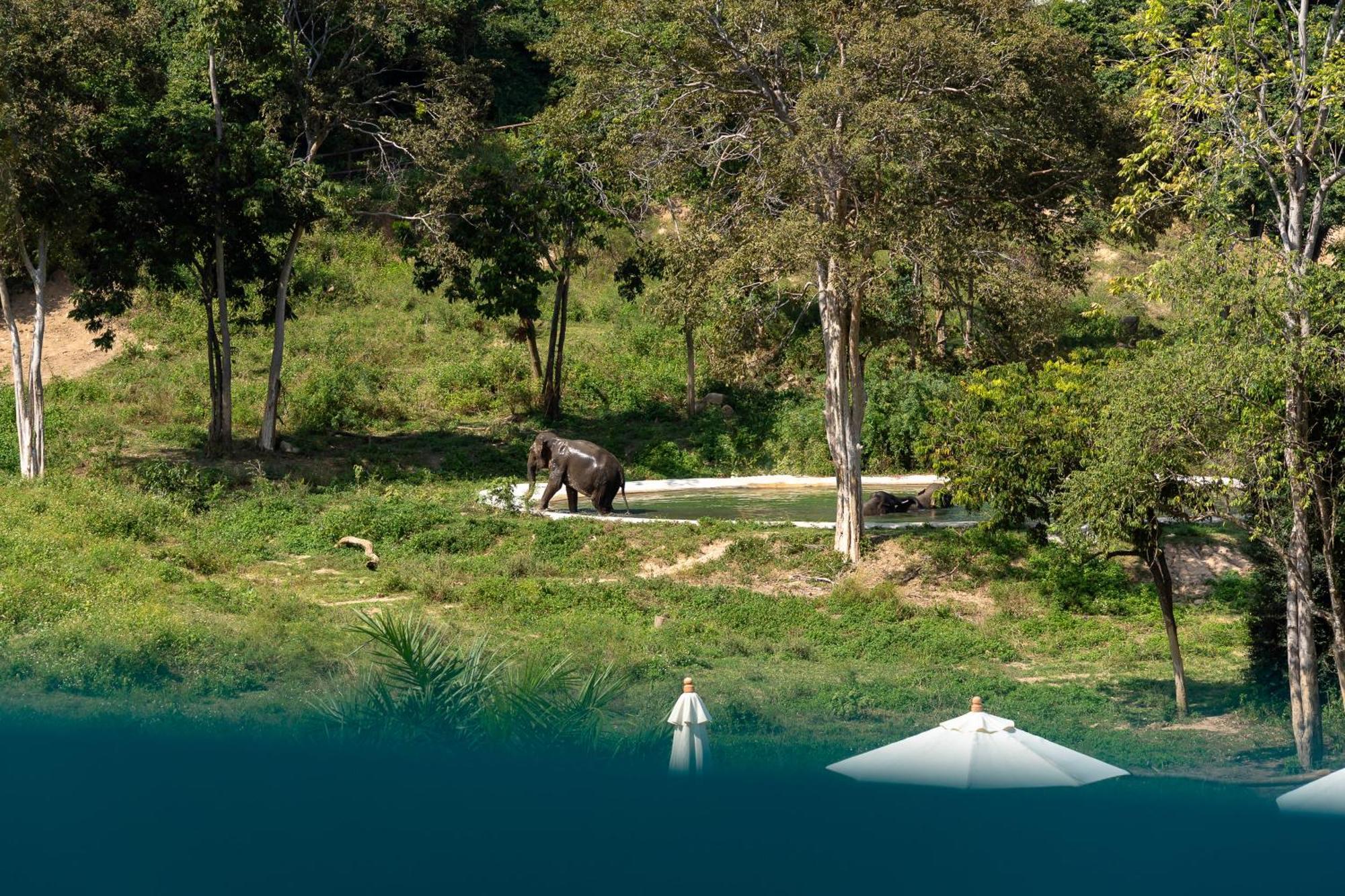 Wild Cottages Elephant Sanctuary Resort Amphoe Koksamui Luaran gambar